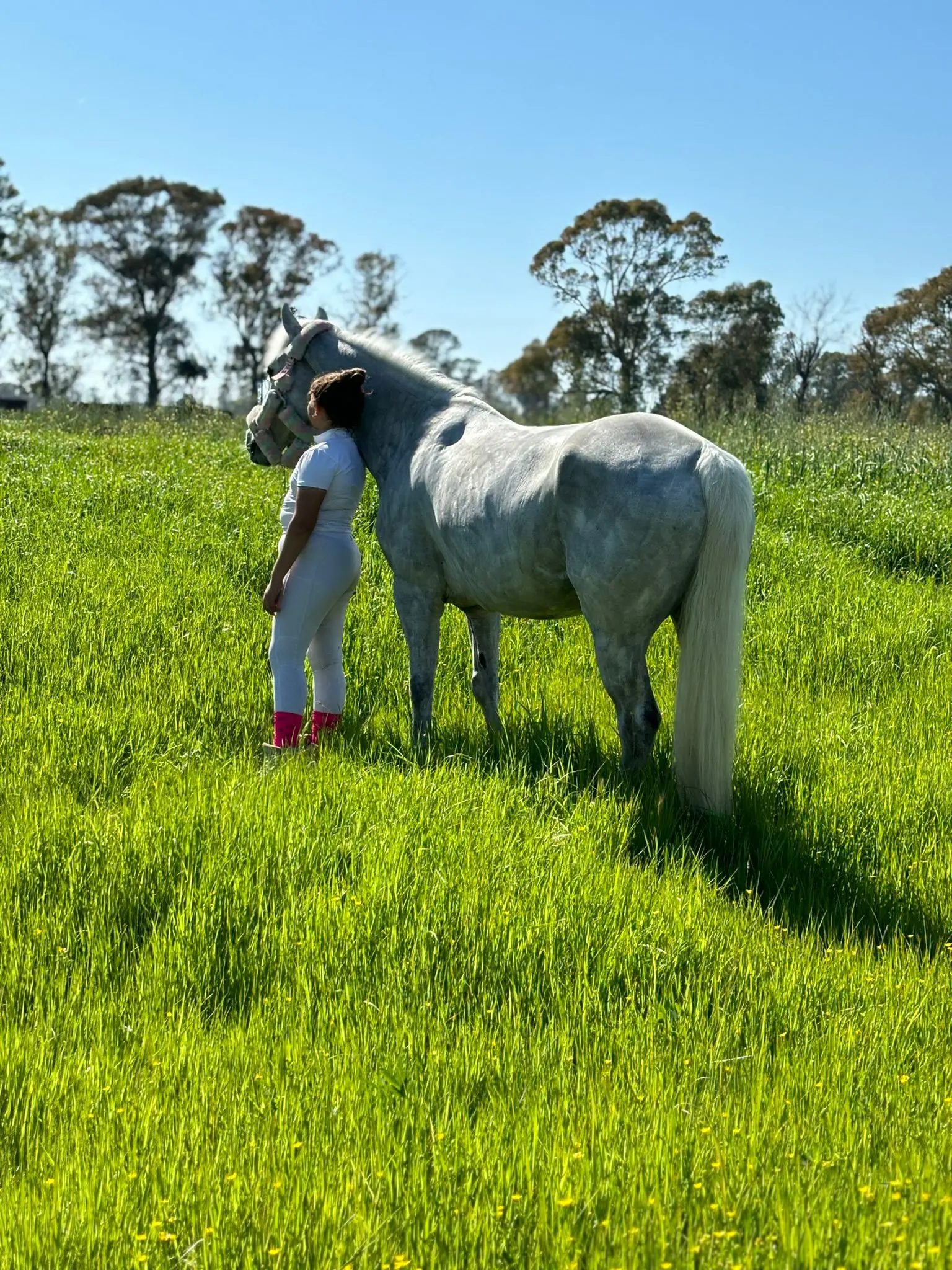 Pony Club