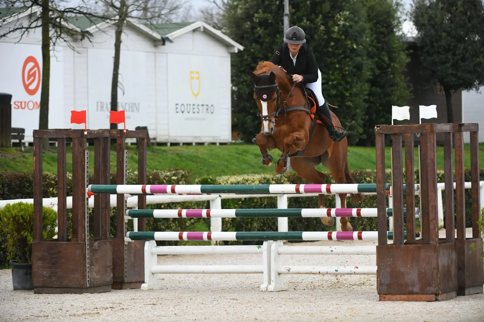 Susan Hayek a cavallo durante una gara